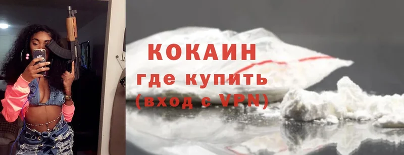 Cocaine Fish Scale Котлас